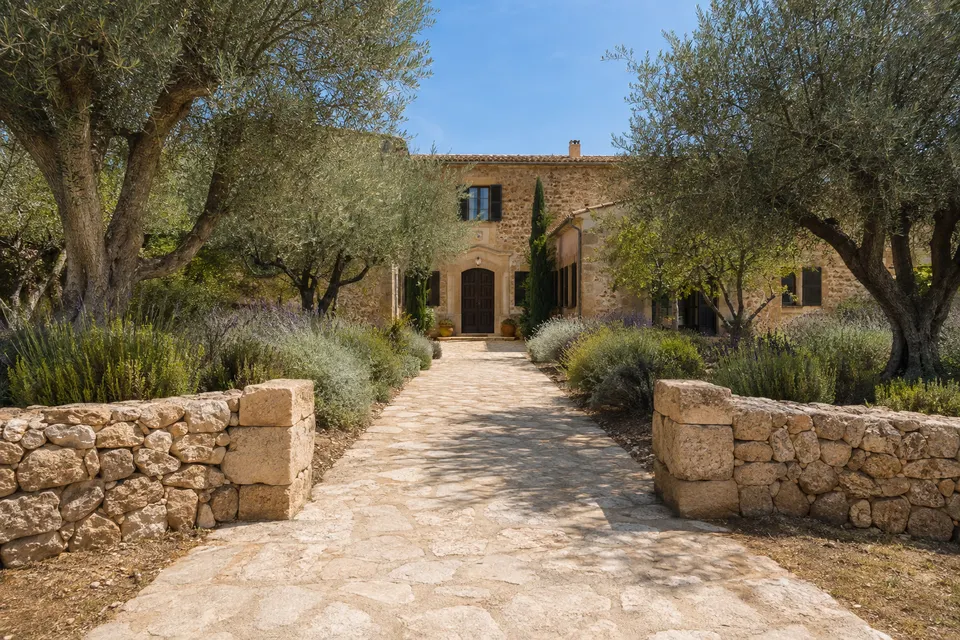 Camino de entrada entre olivos, lavandas y muros de piedra mallorquina