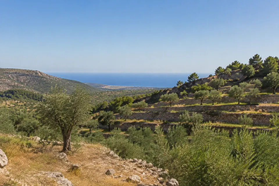 Levante de Mallorca